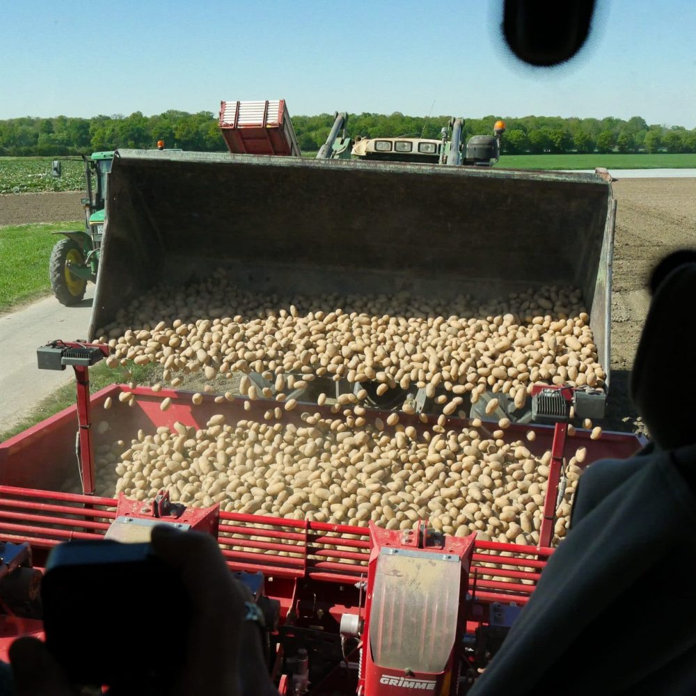 Kartoffeln-setzen-bruehl-traktor